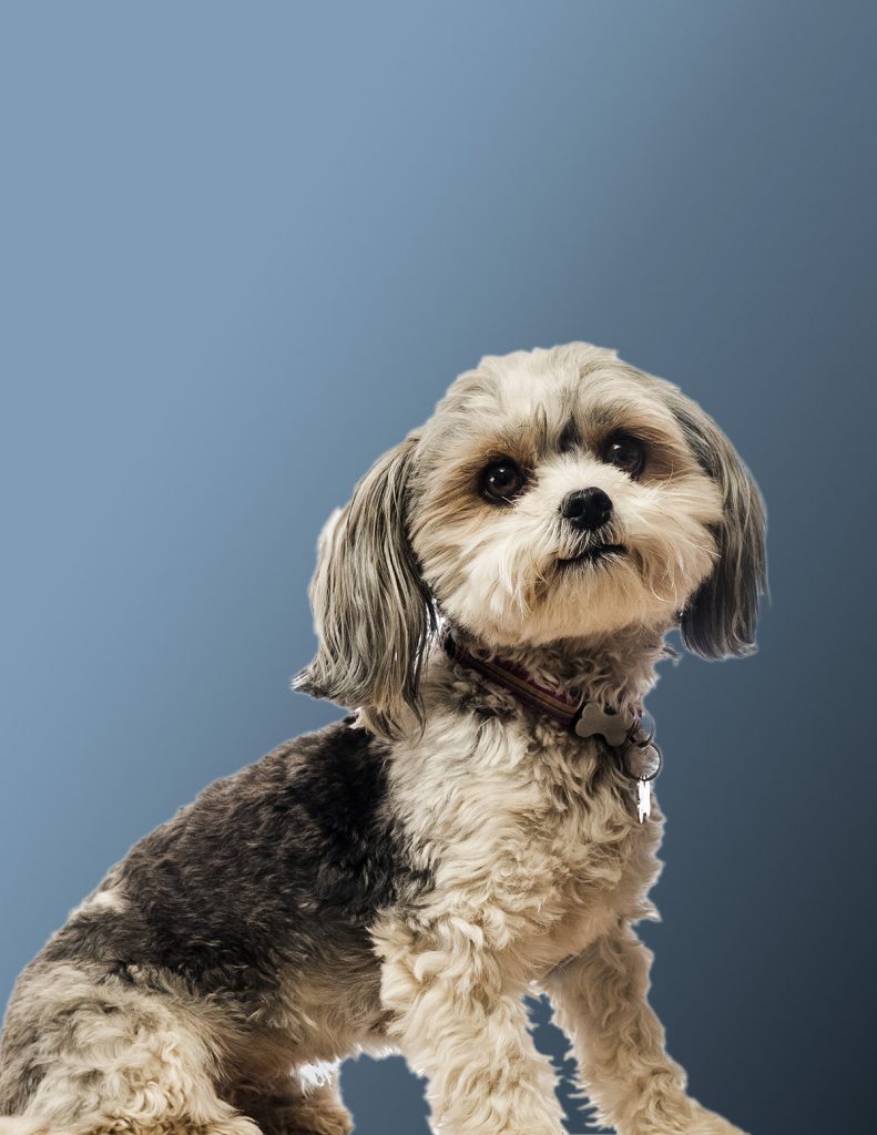 Lucy – Chief Feelgood Managerin
